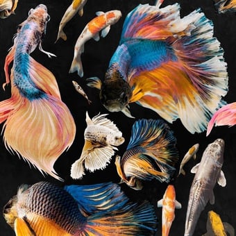 Goldfish Panel Anthracite Mindthegap