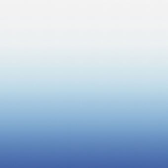 Papier peint panoramique Foradada Indigo Coordonné