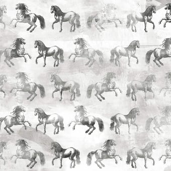 Equinae Panel Cumulus Tres Tintas Barcelona