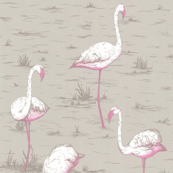 Papel pintado Flamingos 1 Grège Cole and Son