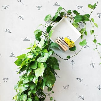 Papier peint Lindberg Full Grey Coordonné