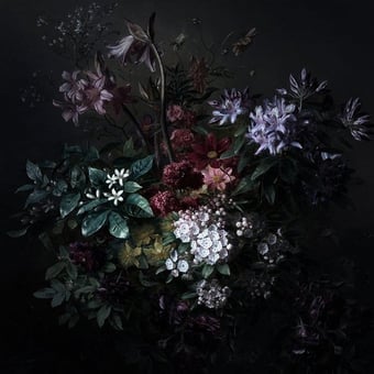 Bouquet Noir Panel Pink Walls by Patel