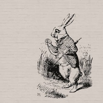 Bunny Panel Grey Walls by Patel