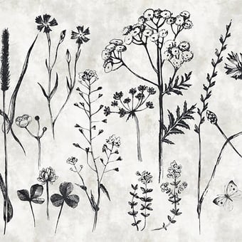 Sketchpad 1 Panel Black Walls by Patel