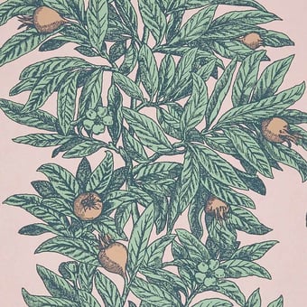 Papel pintado Medlar Blossom Osborne and Little
