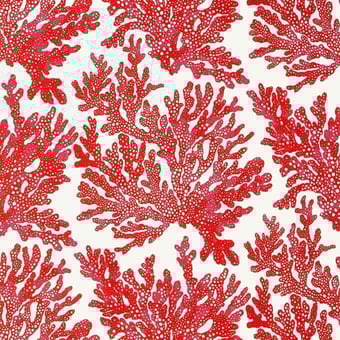 Papel pintado Marine Coral Coral Thibaut