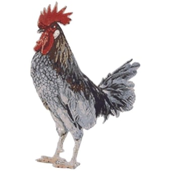 Alfombras Rooster Chicken Nodus