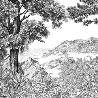 Papel pintado mural panorámico Forêt de Bretagne Grisaille 150x330 cm - 3 listones - lado izquierdo Isidore Leroy