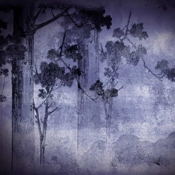 Carta da parati murale Forêt Ambre Stella Cadente