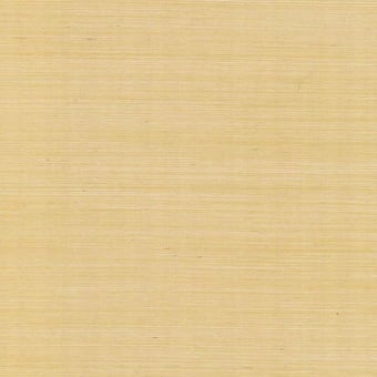 Papel pintado Palette Linen Rifle Paper Co.