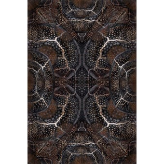 Blooming Seadragon Rug Espresso MOOOI