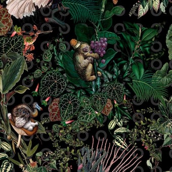 Alfombras Menagerie rectangle Raven MOOOI