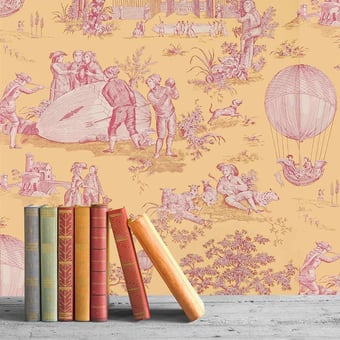 Ballon de Gonesse Wallpaper Rose Charles Burger