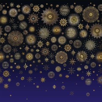 Papier peint panoramique Celestia Night Matthew Williamson
