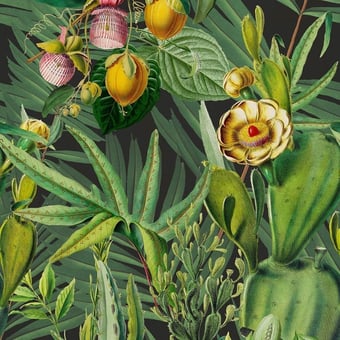 Papel pintado mural panorámico Luscious Flora Tropical Mindthegap