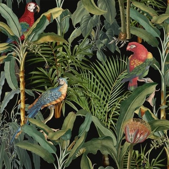 Papel pintado mural panorámico Parrots Of Brasil Tropical Mindthegap