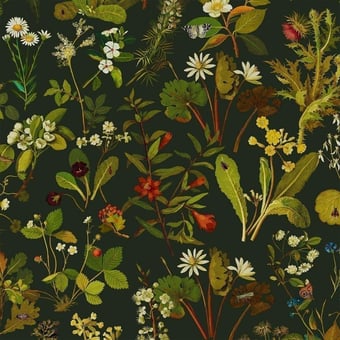 Herbarium Wallpaper Forest/Green House of Hackney