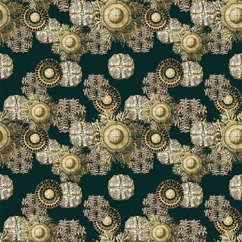 Gorgone 8 Panel Céladon Labo Léonard