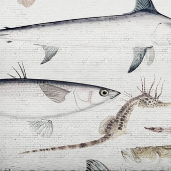 Papel pintado mural panorámico White Brick Wall & Fish White Brick Wall & Fish Les Dominotiers