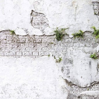 Plants & Brick Wall Panel Plants & Brick Wall Les Dominotiers