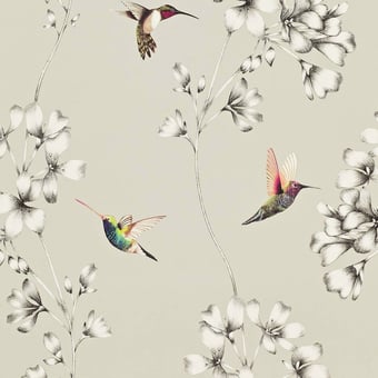 Carta da parati Amazilia Flamingo Harlequin