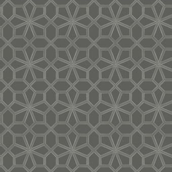 Wolsey Stars Wallpaper Soot/Snow Cole and Son