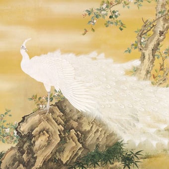 Carta da parati murale Fuji Flutter Poussin Artwallz Paris
