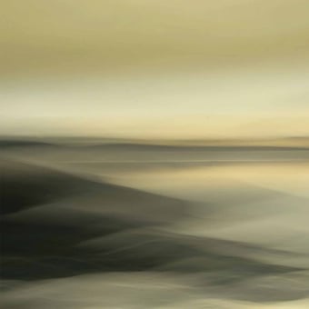 Golden Morning Panel Sahara Artwallz Paris