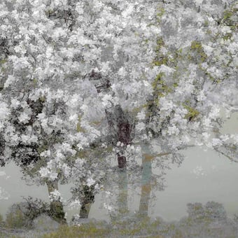 Le Printemps Panel Neige Artwallz Paris