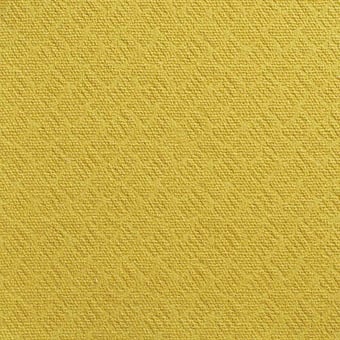Castor Fabric Prune Antoine d'Albiousse