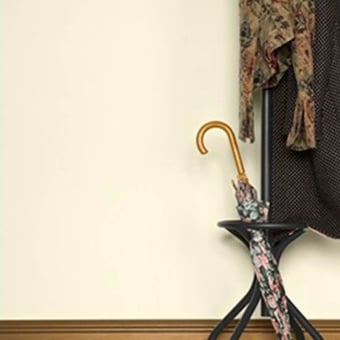 Papel pintado Plains Pointing Farrow and Ball