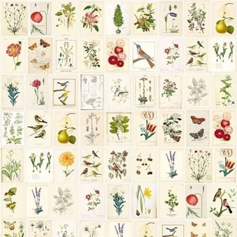 Papel pintado mural panorámico Botanical Botanical Pip Studio