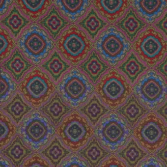 Shiraz Fabric Iride Etro