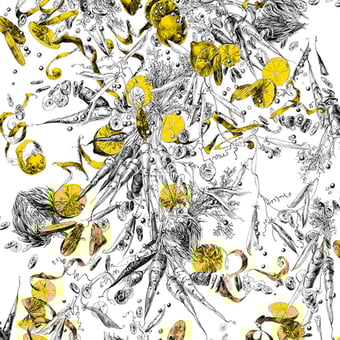 Feu d'Artifice Wallpaper Citron Edmond Petit
