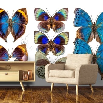 Papel pintado mural panorámico Butterflies Mix 3 Bleu Roi Curious Collections