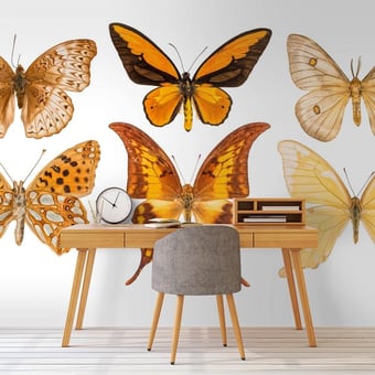 Butterflies Mix 5 Panel Orange Curious Collections