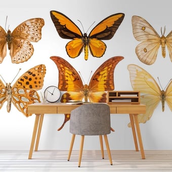 Papel pintado mural panorámico Butterflies Mix 5 Orange Curious Collections