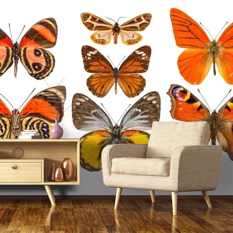 Papier peint panoramique Butterflies Mix 9 Orange/Jaune Curious Collections