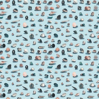 Coquillages Wallpaper Bleu Quinsaï