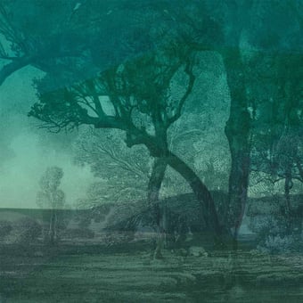 L'éveil de la Foret Panel Vert Quinsaï