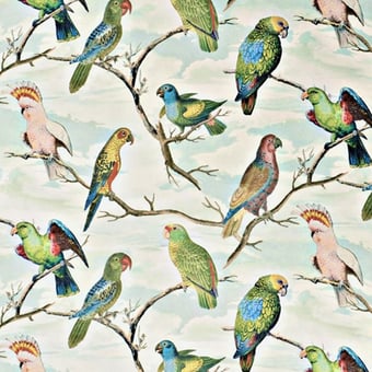 Velo Parrot Aviary Sky blue John Derian
