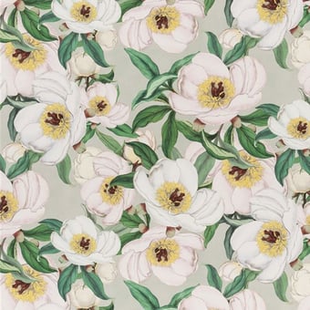 Tessuto Paeonia Albiflora Céladon John Derian