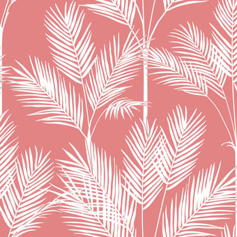 King Palm Silhouette Wallpaper Coral York Wallcoverings