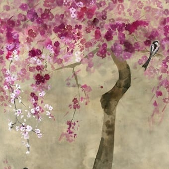 Carta da parati murale Shinsha Blossom Scene 1 Rose Designers Guild