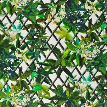Canopy Fabric Lime Christian Lacroix