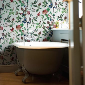 Papel pintado Goldfinch Song Cotton Coordonné