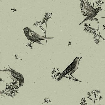 Sweet Birds Wallpaper Papirus Coordonné