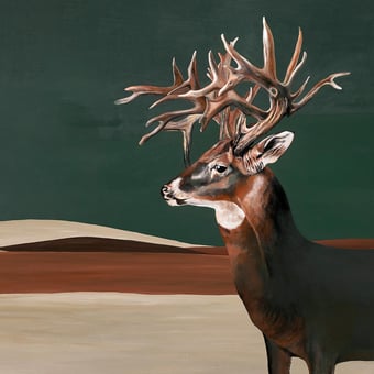 Papier peint panoramique Great Deer Nude Coordonné