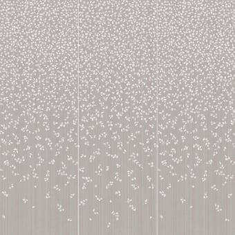 Wonderwall Zen Slabs Porcelain stoneware Grigio A Cotto d'Este