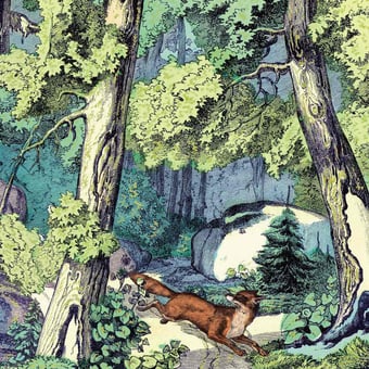 Papier peint panoramique Fond de Forêt et Renard Renard Maison Images d'Epinal